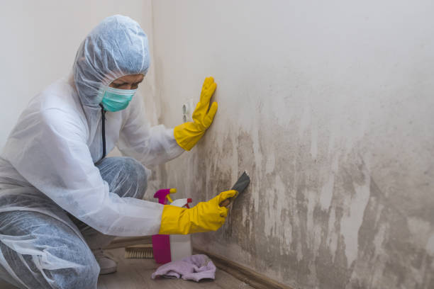 Crawl Space Mold Removal in Leland, MS