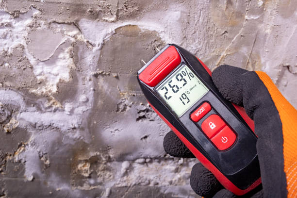 Best Black Mold Removal  in Leland, MS